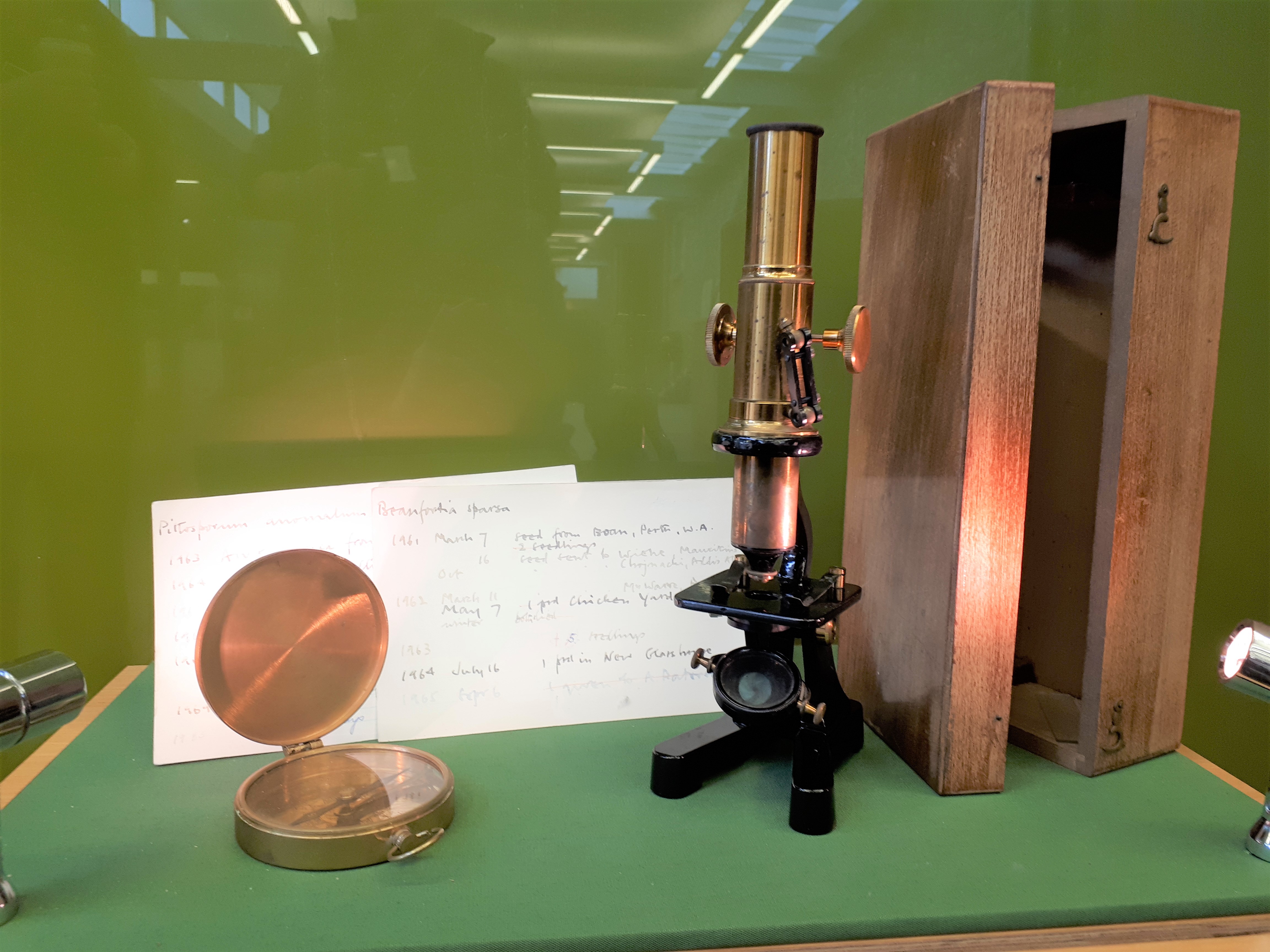 Talbot microscope on display